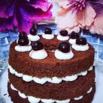 chiffon foresta nera (2)